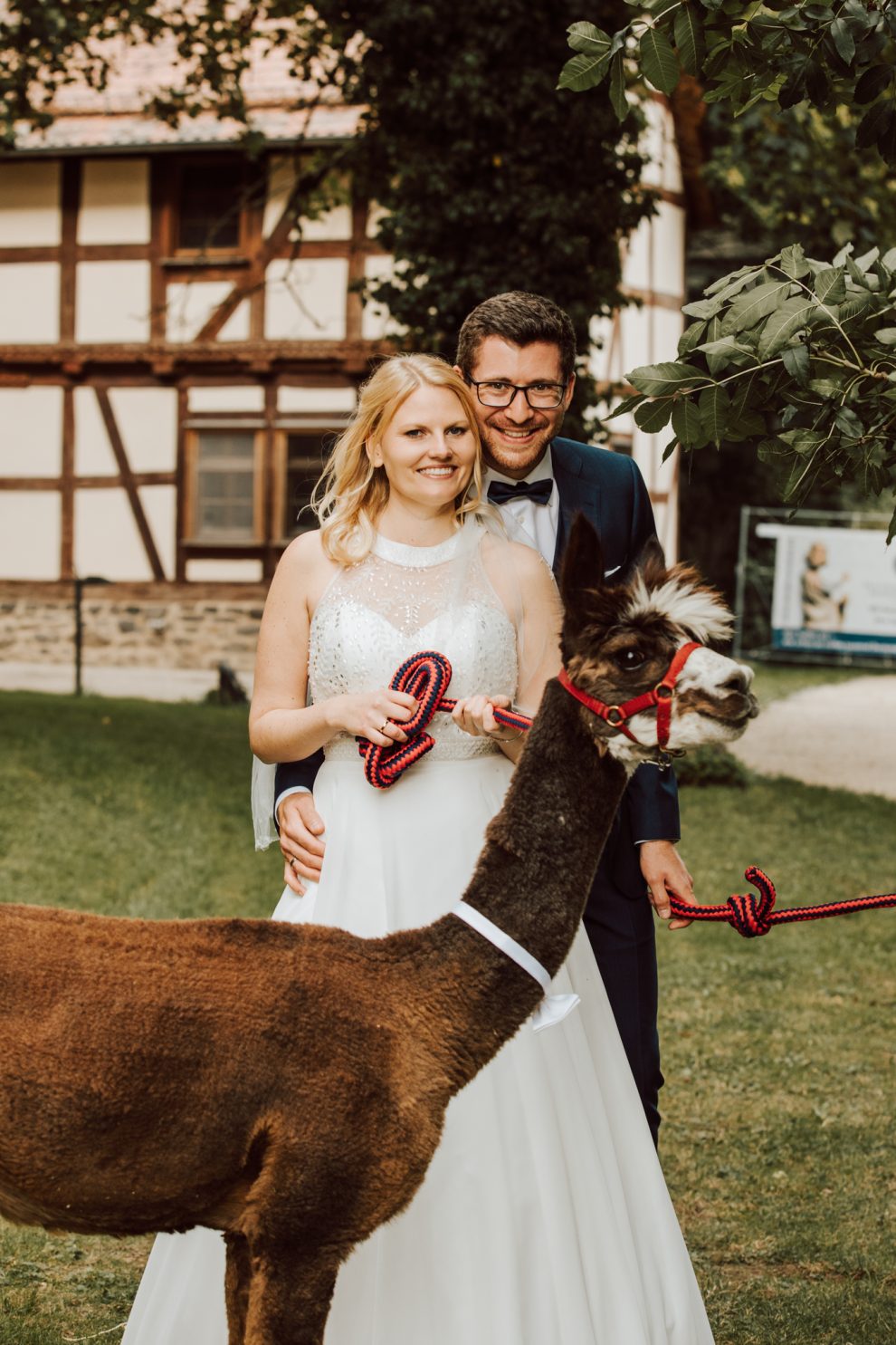 Hochzeitsfotograf Frankfurt, Alpakas Hochzeit mieten