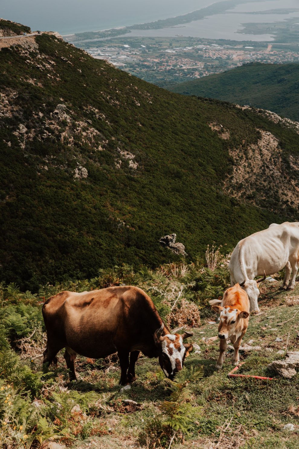 Urlaub auf Korsika, Gebirge im Mittelmeer, Reisefotos