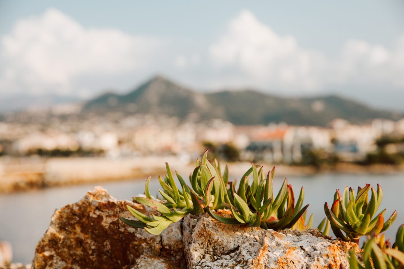 Urlaub auf Korsika, Gebirge im Mittelmeer, Reisefotos