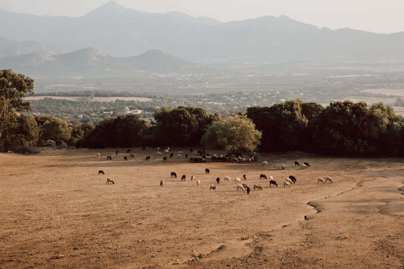 Urlaub auf Korsika, Gebirge im Mittelmeer, Reisefotos