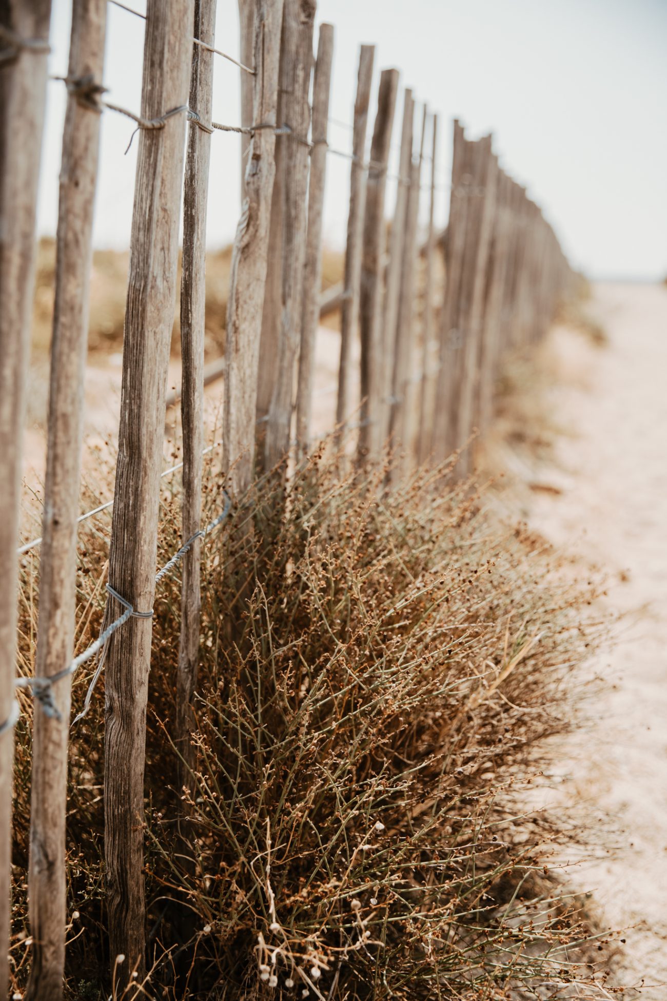 Reise Strand Corsica