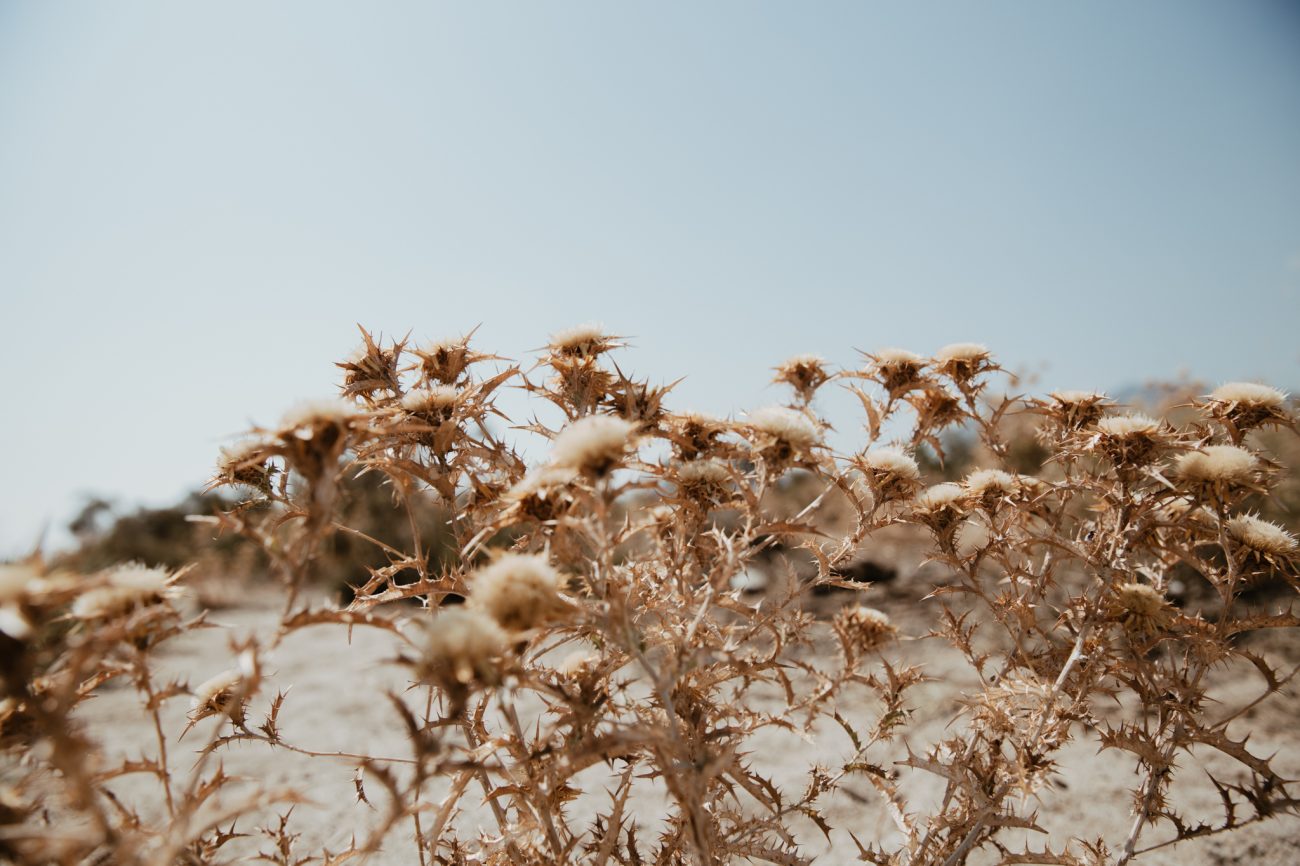 Reise Strand Corsica